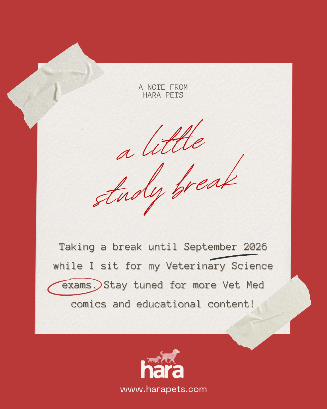Study Break till September 2026