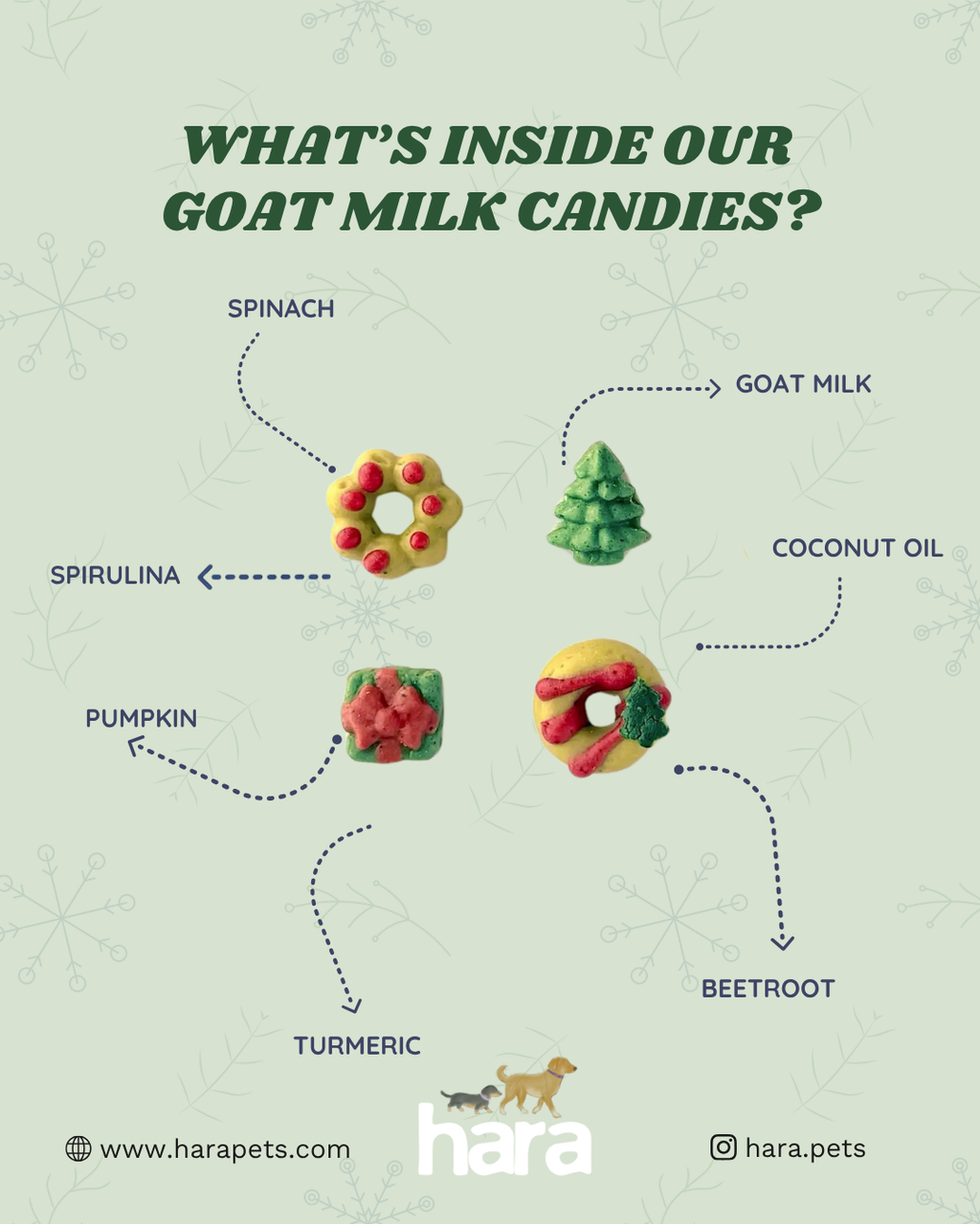 Flourless Goat Milk Candies