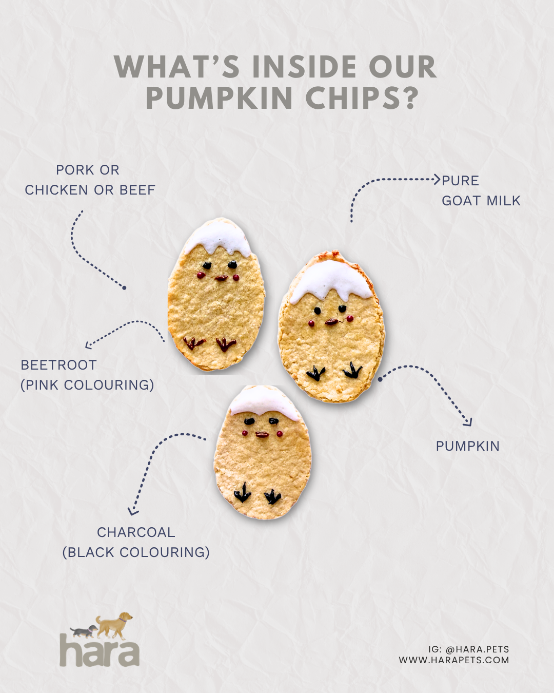 Pumpkin Protein Chips