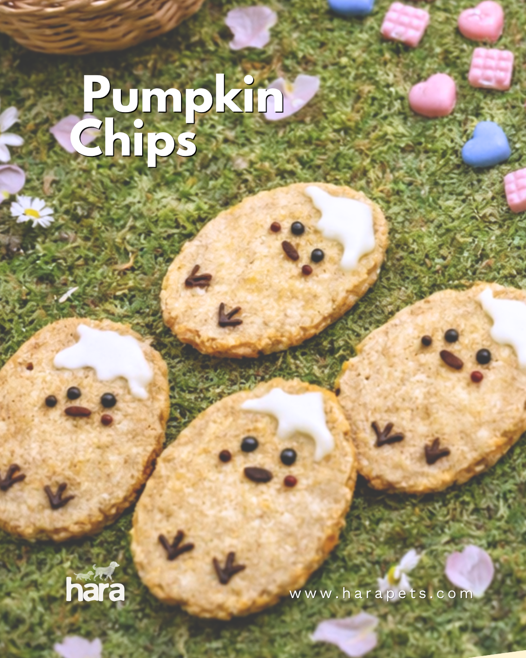 Pumpkin Protein Chips