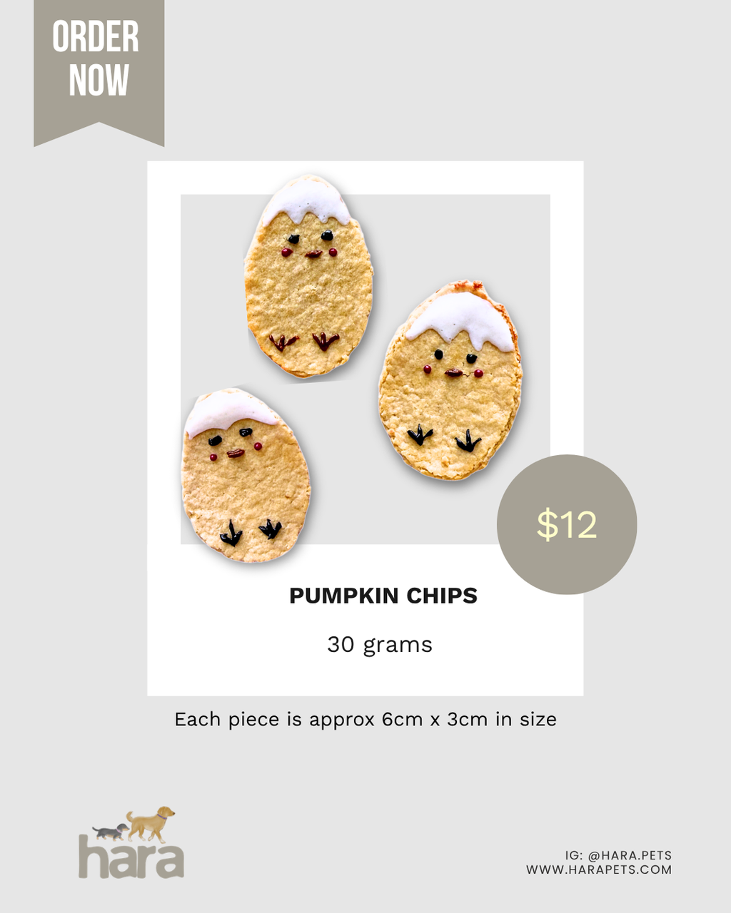 Pumpkin Protein Chips