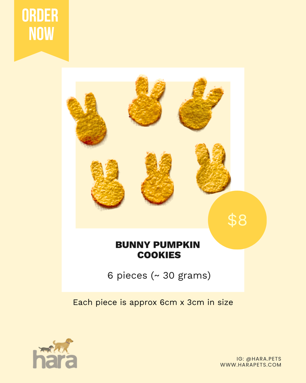 Easter Bunny Pumpkin Cookies