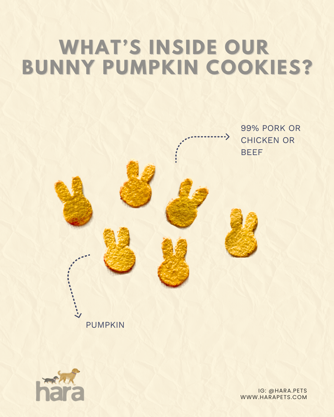 Easter Bunny Pumpkin Cookies