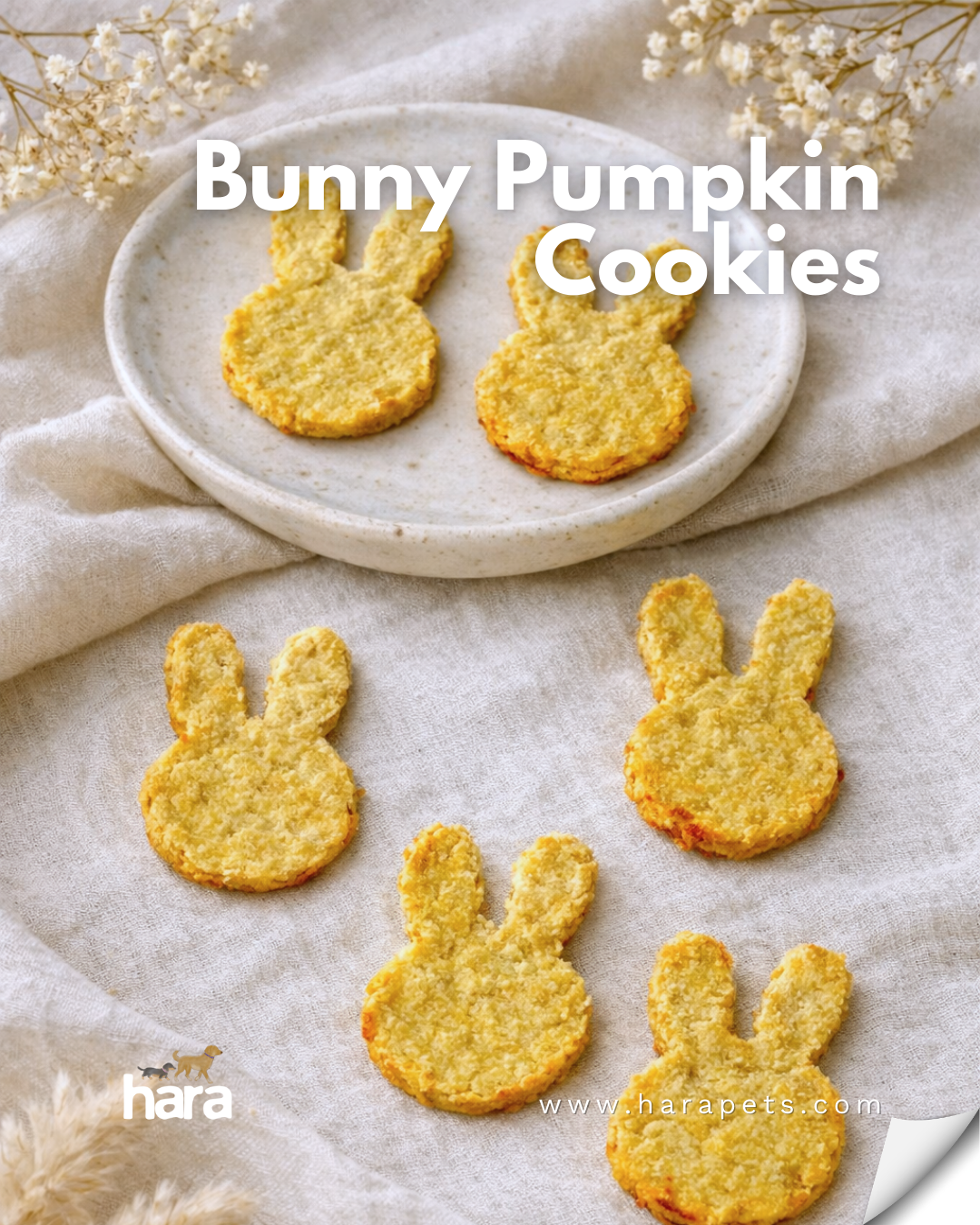 Easter Bunny Pumpkin Cookies