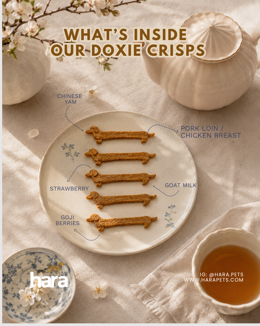 Doxie Crisps (Strawberry + Goji berries)