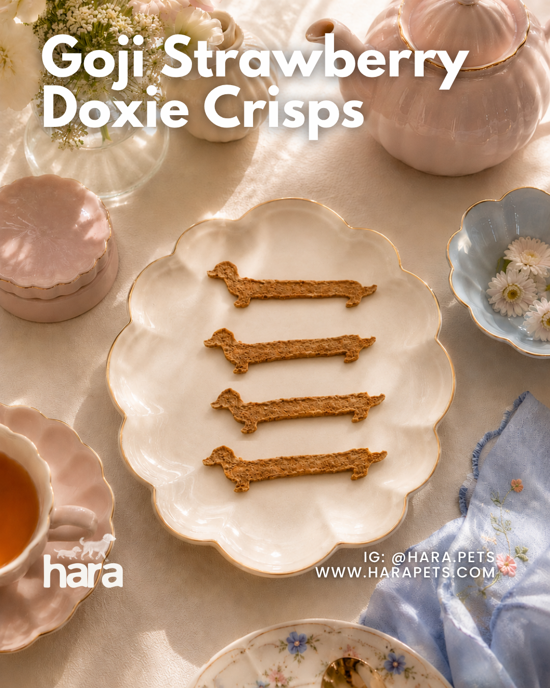 Doxie Crisps (Strawberry + Goji berries)